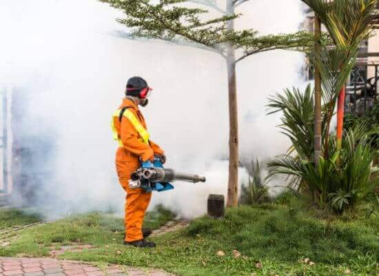 Fumigation pest control