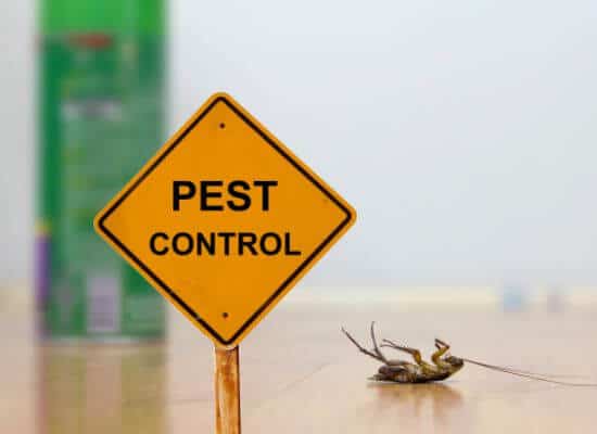 Pest Control Services 1